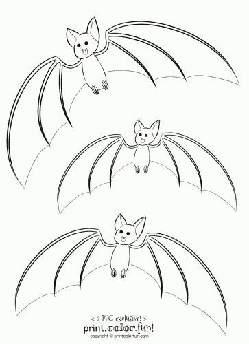 1040  Cute Bat Coloring Pages  Best HD