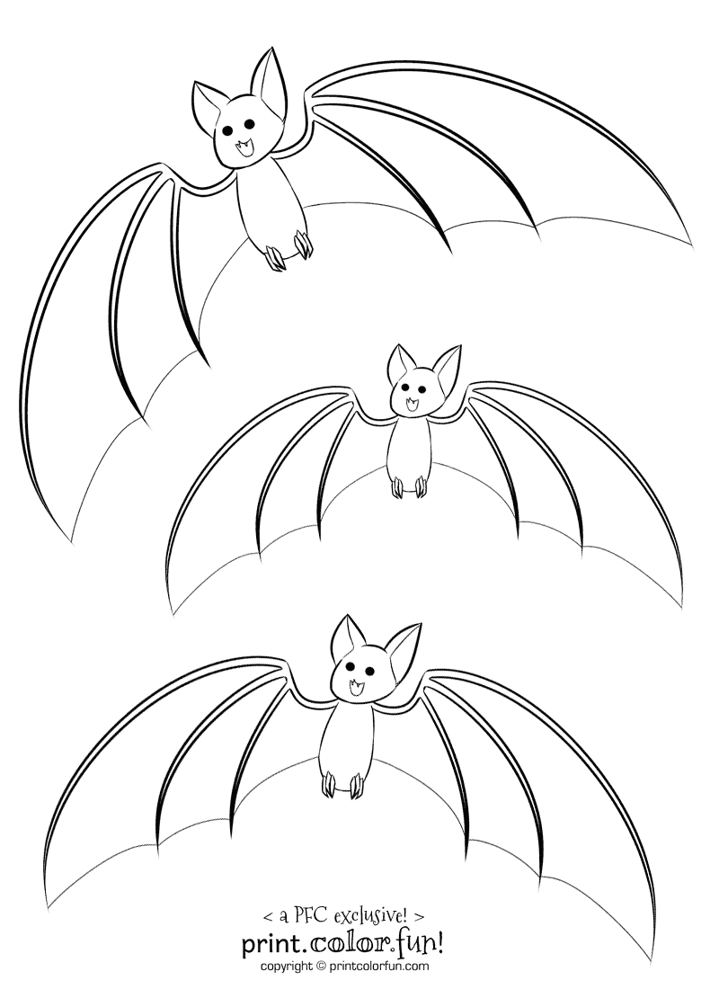 3 cute  bats  coloring  page Print Color  Fun 