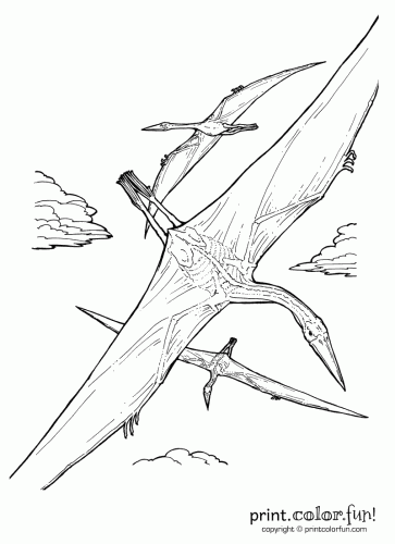 Dinosaur: Quetzalcoatlus
