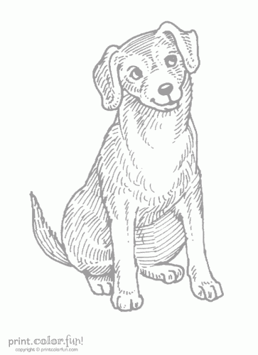 dog listening low ink