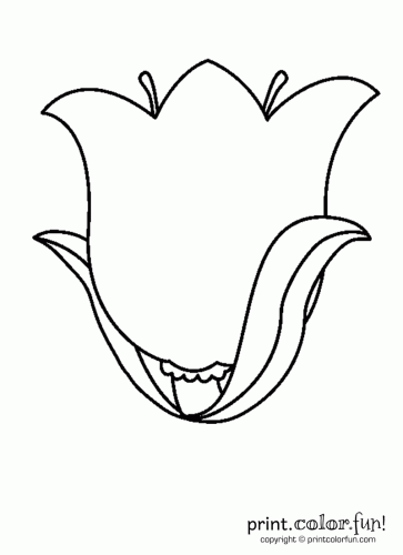 4800 Coloring Pages Of Tulip Flower Images & Pictures In HD