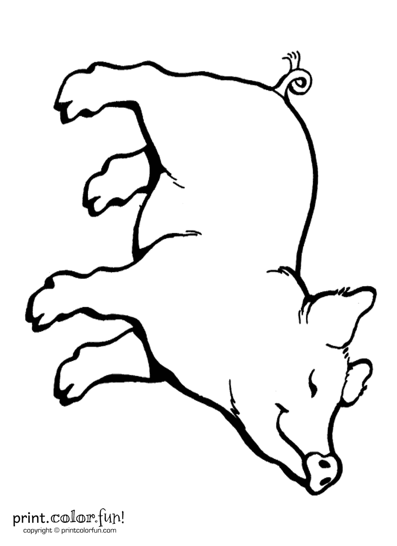 Happy pig coloring page - Print. Color. Fun!