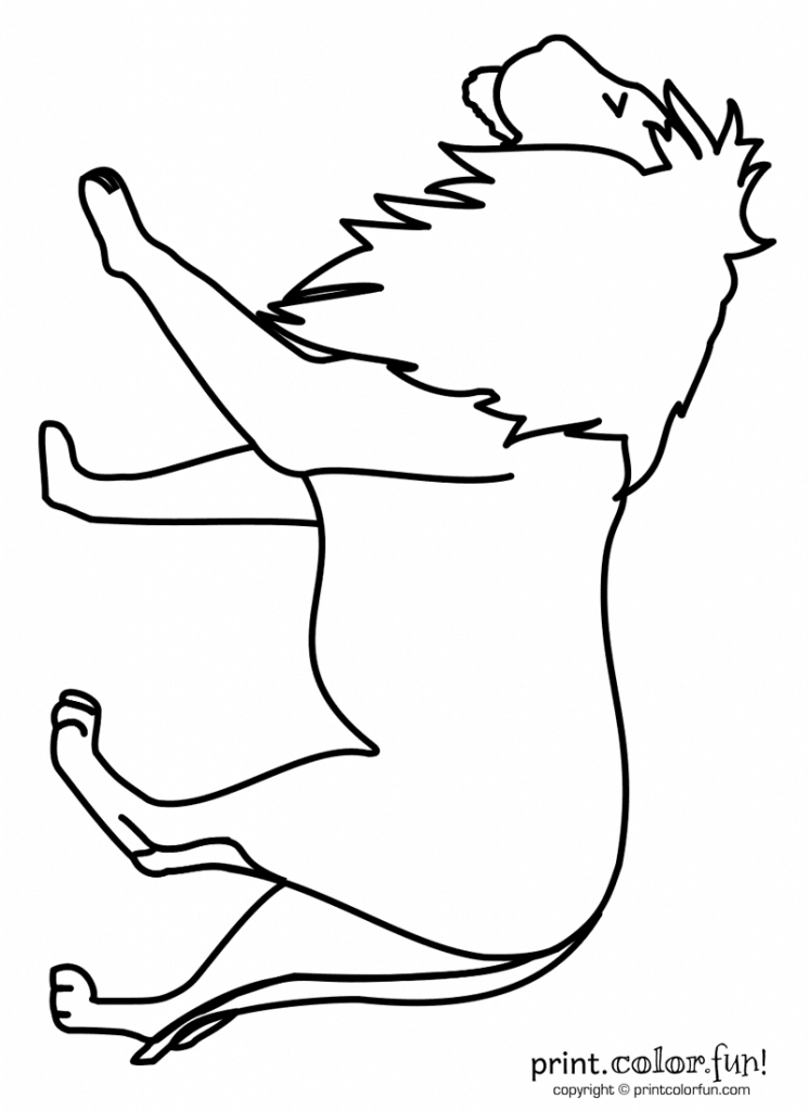 lion - Print. Color. Fun! Free printables, coloring pages, crafts ...