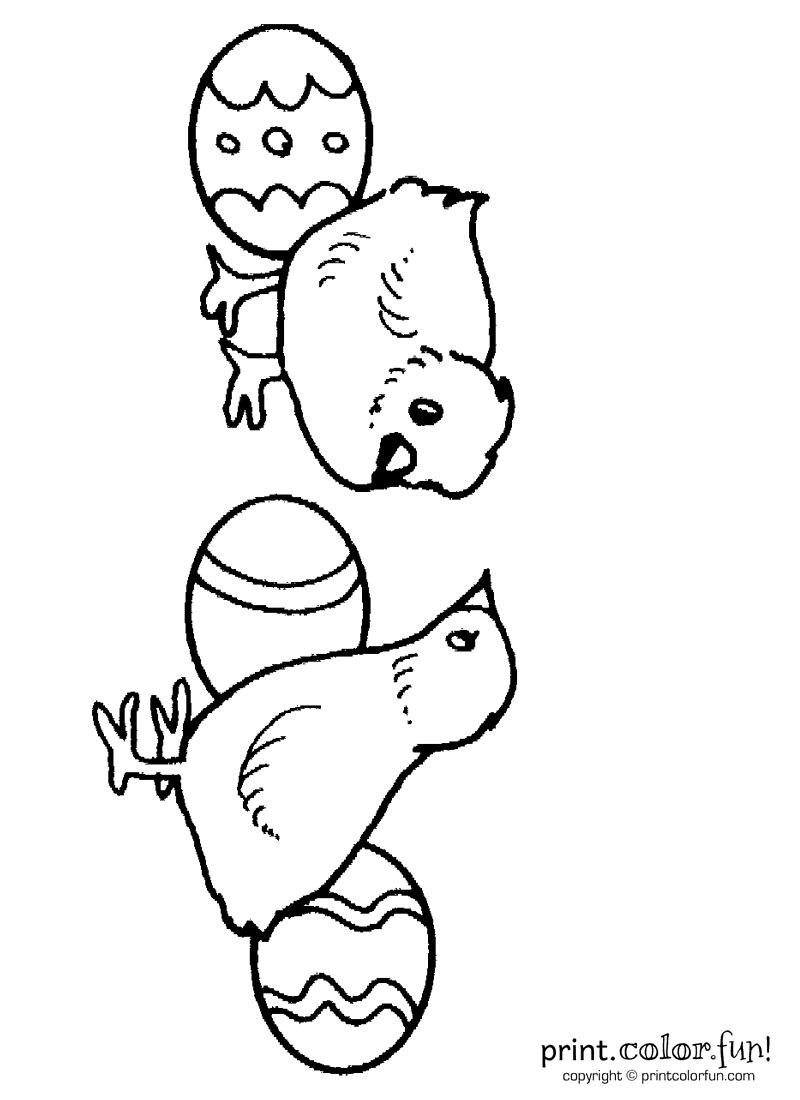 easter baby chicks coloring pages - photo #11