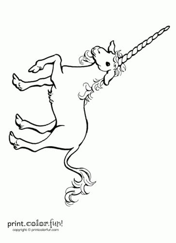 longhorn unicorn