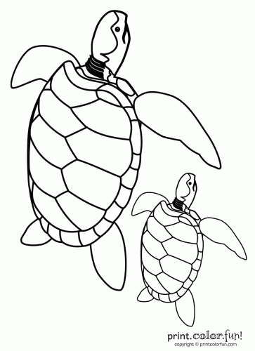 Aromantcicountryhome Baby Sea Turtle Baby Animal Cute Animal Coloring Pages