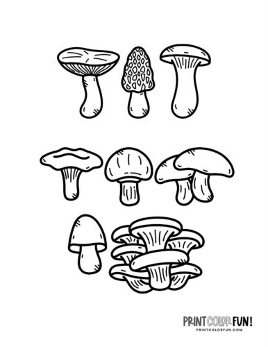 mushrooms coloring PCF15
