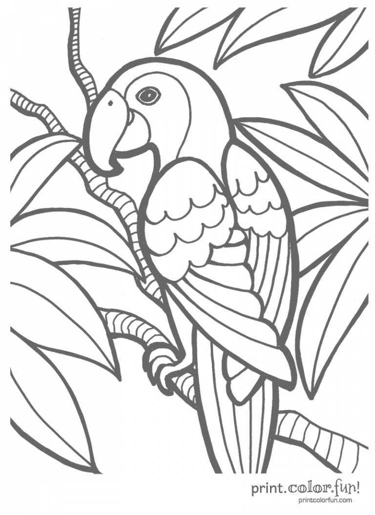 Zoo animal coloring pages & printables   Print. Color. Fun Free ...