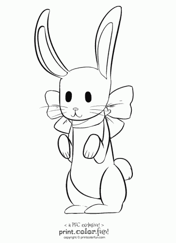 pfc bunny rabbit