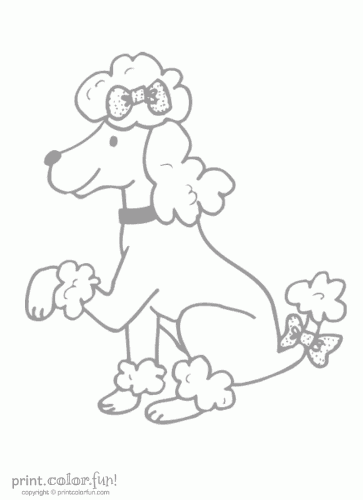 poodle dog low ink