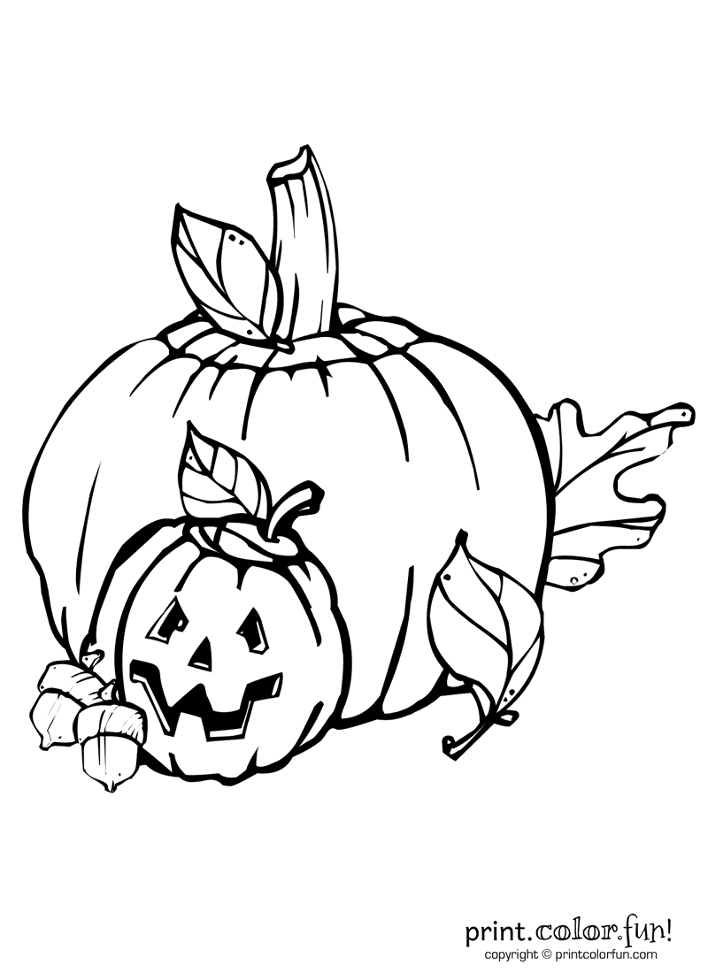Pumpkin and Jack O Lantern coloring page - Print. Color. Fun!