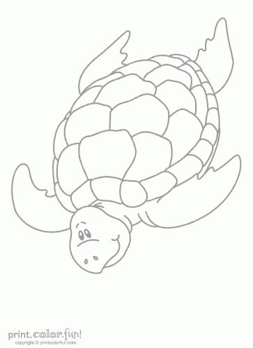 swimming turtle inksaver