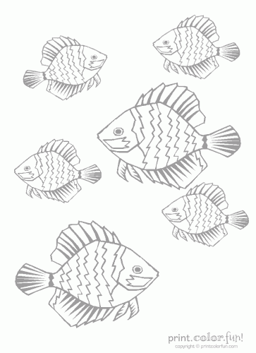 tropical fish low ink