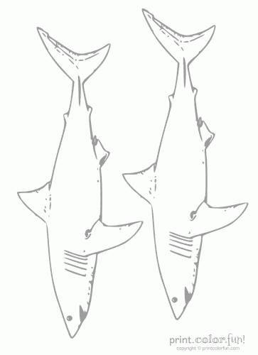 two sharks low ink