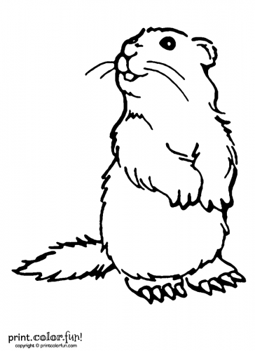 Rodent coloring pages & printables Archives - Print. Color. Fun! Free ...