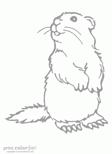 woodchuck low ink